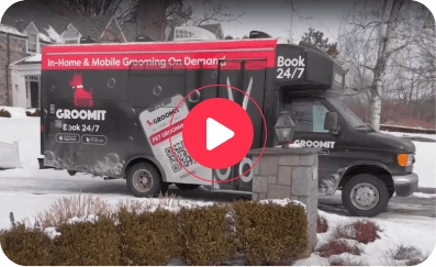 Groomit Mobile Van Service