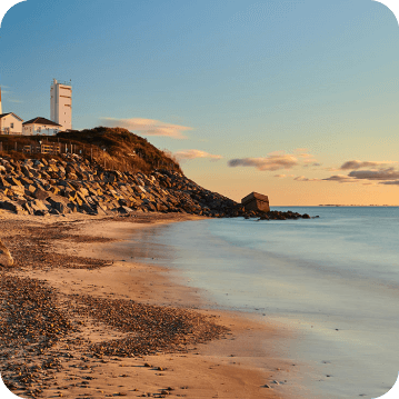 Pet grooming in Long Island