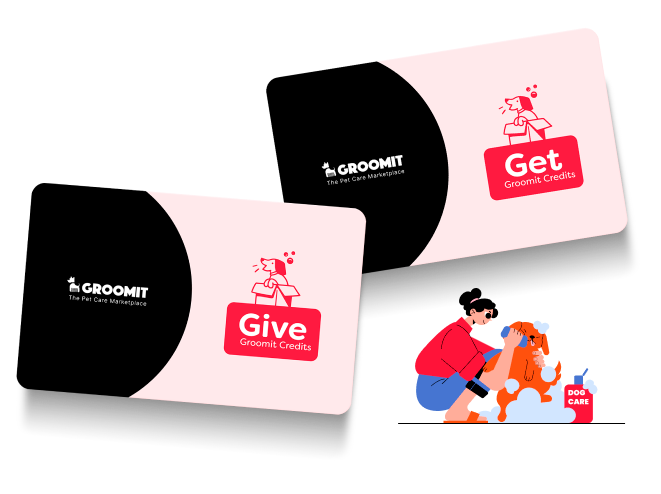 Gift cards for pet grooming