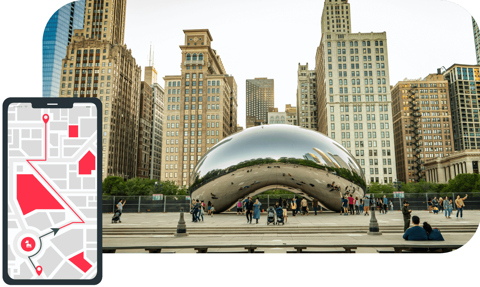 Pet grooming near Chicago