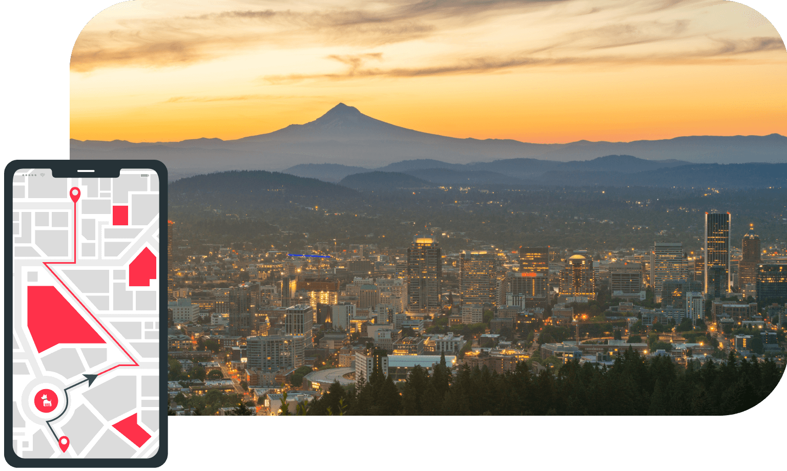 Portland Cat Grooming Feline Beauty Experts