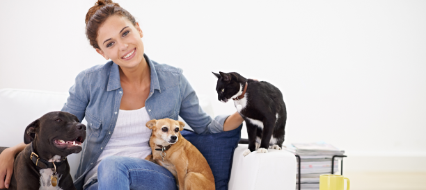 Trusted Pet Grooming Services and Best Pet Groomers in Argyle