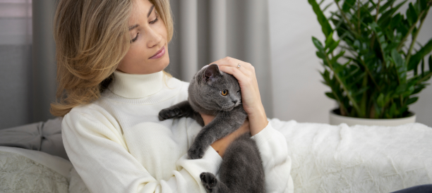 Top Cat Grooming Services and Cat Groomers in The Colony