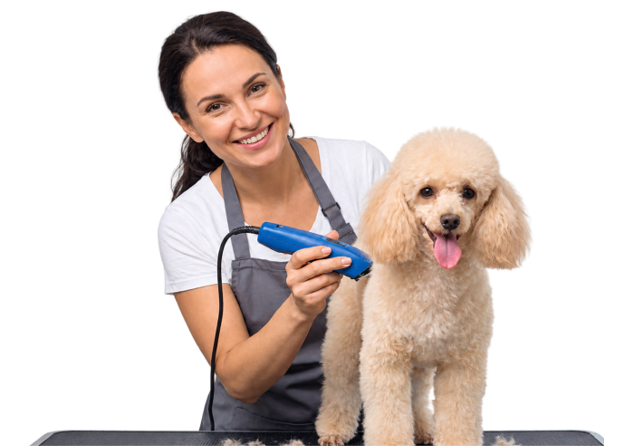 Freshly groomed pets in Stevenson