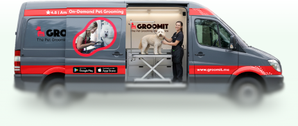 Groomit mobile grooming van