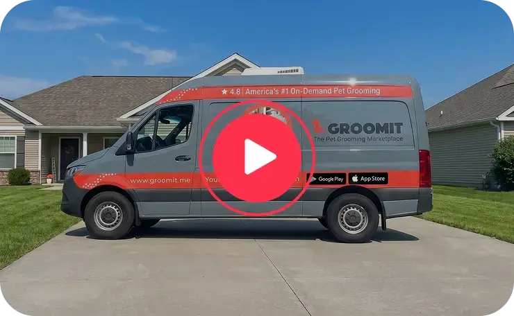 Groomit Mobile Van Service